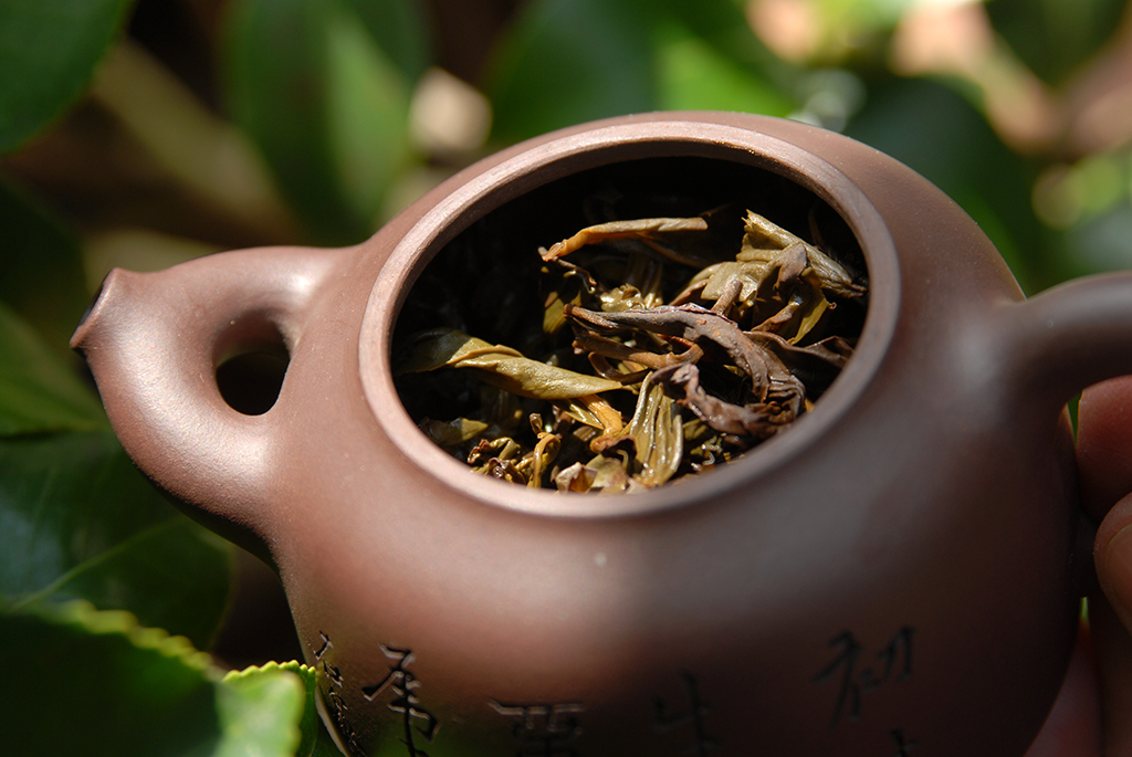 ta hong bao oolong tea